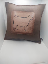Decorative Leather Pillows